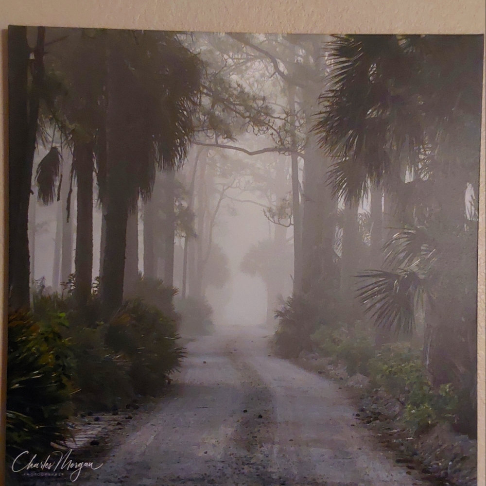30x30 Canvas